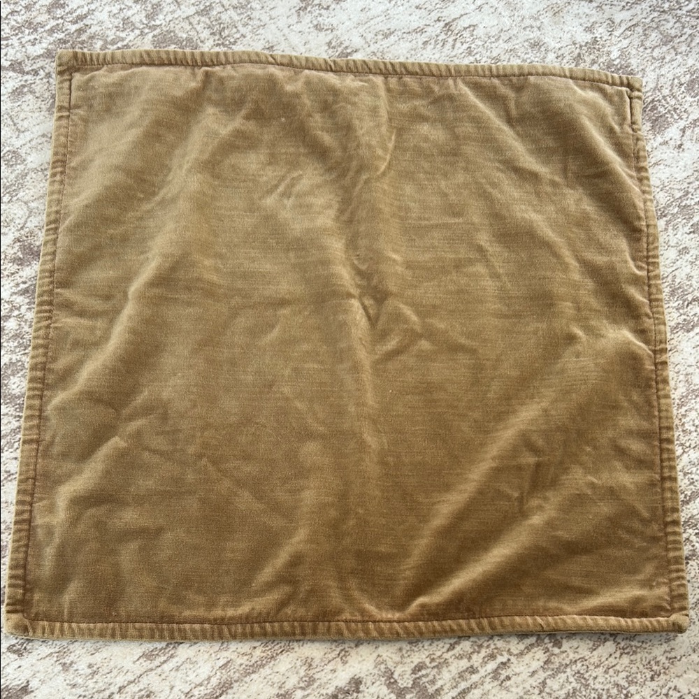 Tan Velvet Cushion Cover